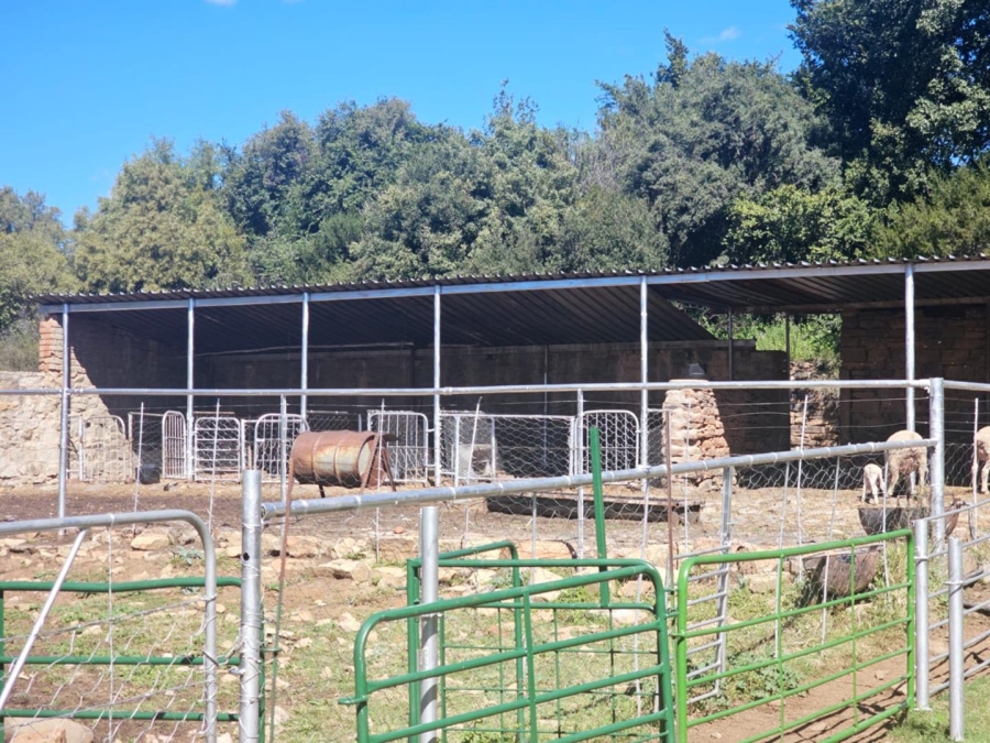 4 Bedroom Property for Sale in Dewetsdorp Free State